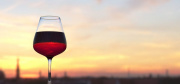 VINO 