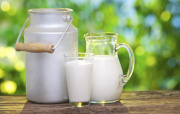 LATTE E PRODOTTI CASEARI