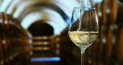 VINO BIANCO 